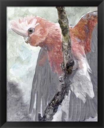 Framed Tropic Parrot II Print