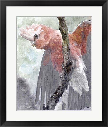 Framed Tropic Parrot II Print