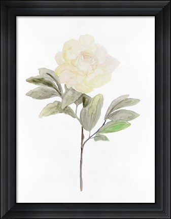 Framed White Blossom V Print