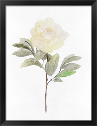 Framed White Blossom V Print