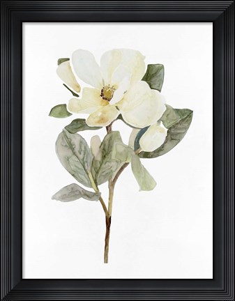 Framed White Blossom VI Print
