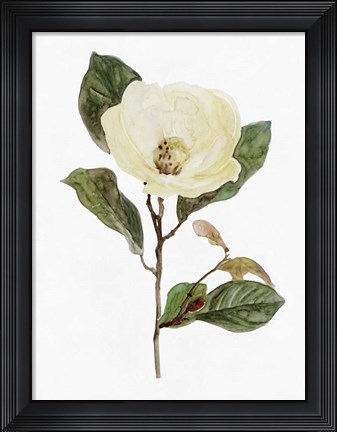 Framed White Blossom VII Print