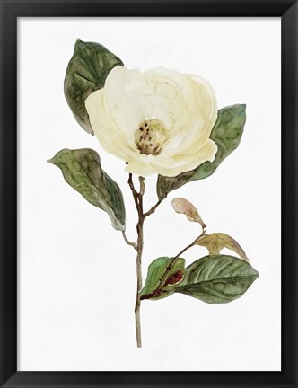 Framed White Blossom VII Print