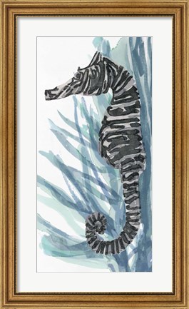 Framed Zebra Seahorse II Print
