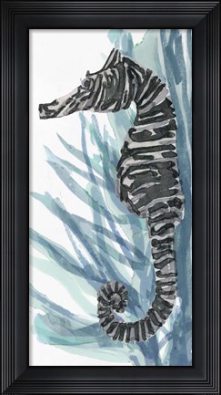 Framed Zebra Seahorse II Print