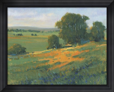 Framed Poppy Fields II Print