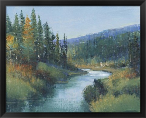 Framed Trout Stream I Print