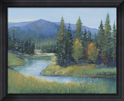 Framed Trout Stream II Print