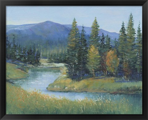 Framed Trout Stream II Print