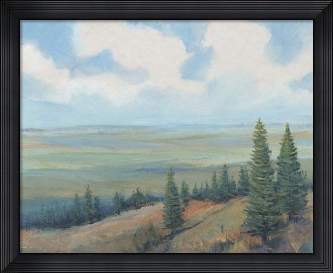 Framed Mountain Top I Print