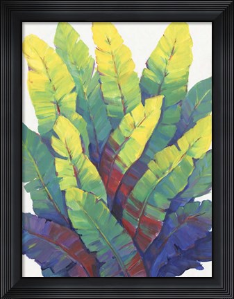 Framed Sunlit Banana Leaves I Print