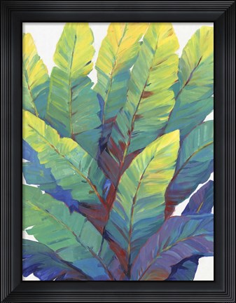 Framed Sunlit Banana Leaves II Print