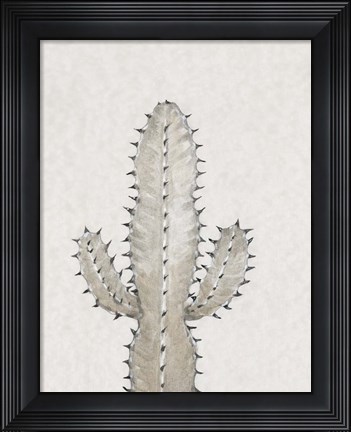Framed Cactus Study I Print
