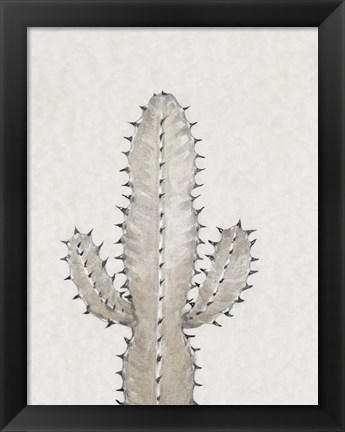 Framed Cactus Study I Print