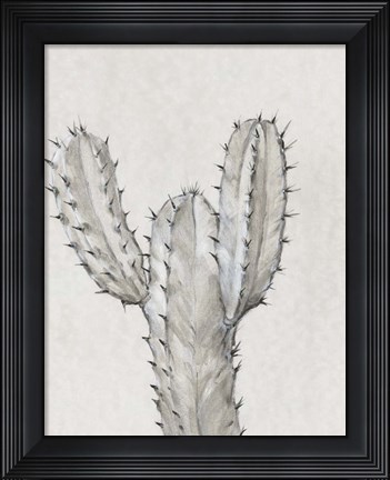 Framed Cactus Study II Print