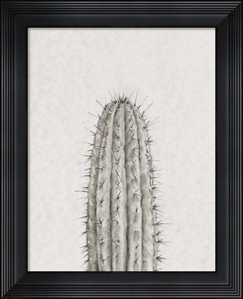 Framed Cactus Study III Print