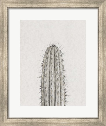 Framed Cactus Study III Print