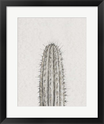 Framed Cactus Study III Print