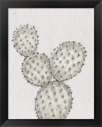 Framed Cactus Study IV Print