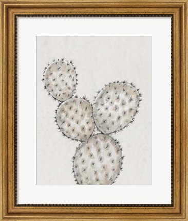 Framed Cactus Study IV Print