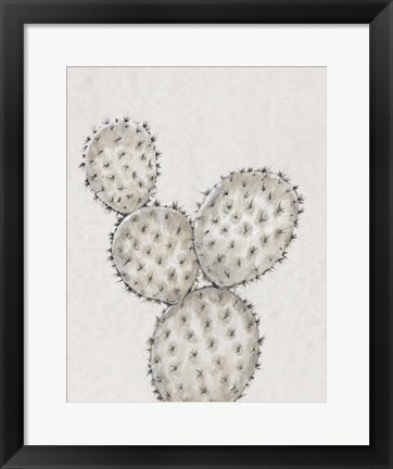 Framed Cactus Study IV Print