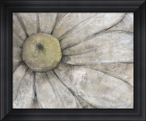 Framed Close-Up Daisy I Print