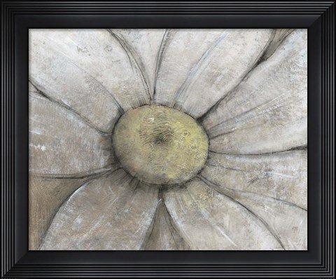 Framed Close-Up Daisy II Print