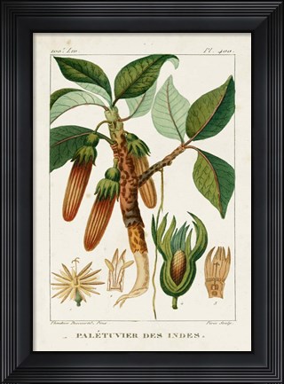 Framed Turpin Foliage &amp; Fruit I Print