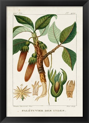 Framed Turpin Foliage &amp; Fruit I Print