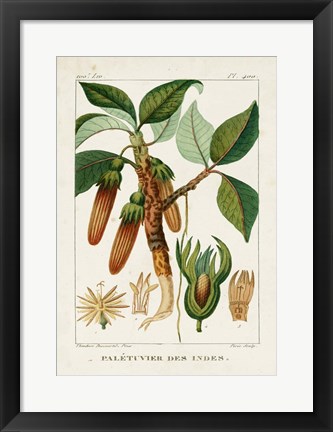 Framed Turpin Foliage &amp; Fruit I Print