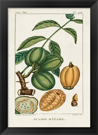 Framed Turpin Foliage &amp; Fruit IV Print