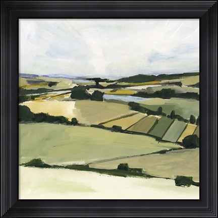 Framed Patchy Landscape II Print