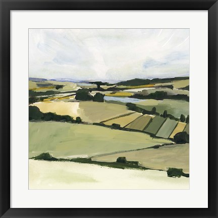 Framed Patchy Landscape II Print