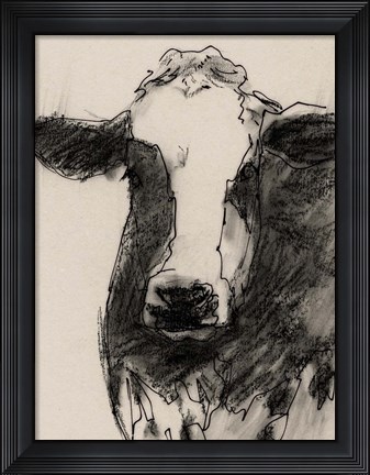 Framed Cow Portrait Sketch II Print