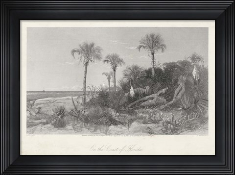 Framed On the Coast of Florida Print