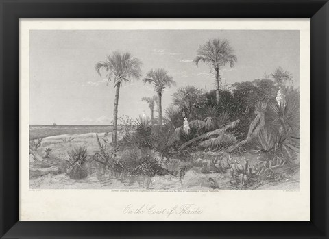 Framed On the Coast of Florida Print