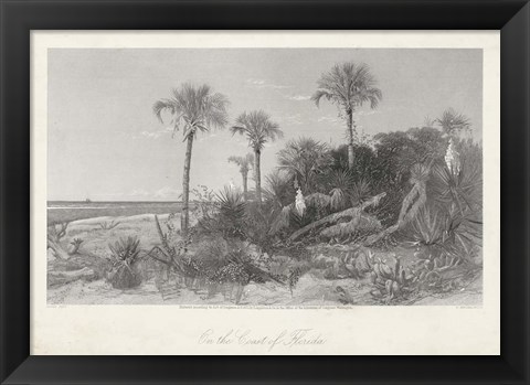 Framed On the Coast of Florida Print