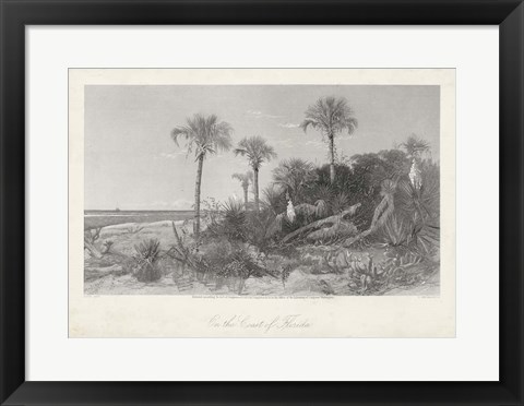 Framed On the Coast of Florida Print