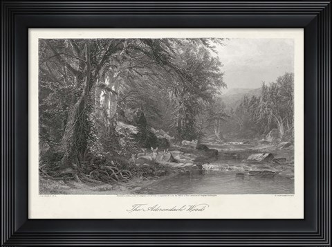 Framed Adirondack Woods Print