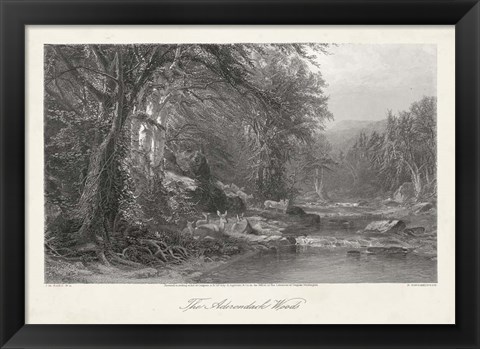 Framed Adirondack Woods Print