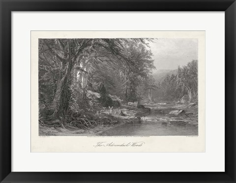 Framed Adirondack Woods Print