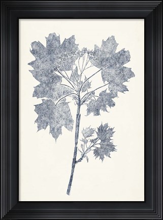 Framed Navy Botanicals I Print