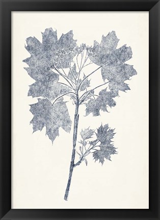 Framed Navy Botanicals I Print