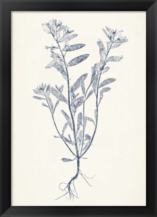 Framed Navy Botanicals II Print