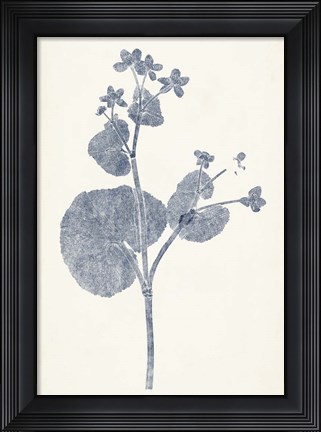 Framed Navy Botanicals VI Print