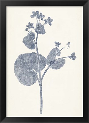 Framed Navy Botanicals VI Print