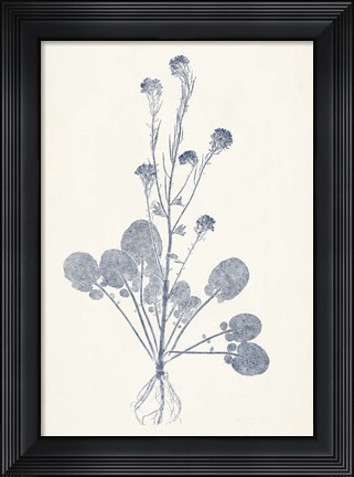 Framed Navy Botanicals VIII Print