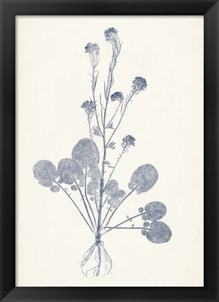 Framed Navy Botanicals VIII Print