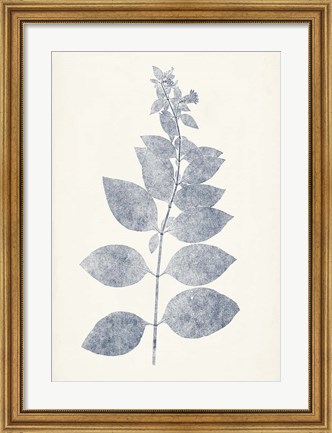Framed Navy Botanicals IX Print