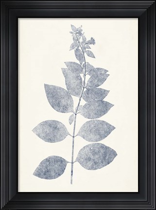 Framed Navy Botanicals IX Print
